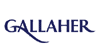 gallaher software development