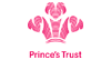 princes trust software development